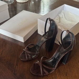 CHLOE python dark brown heels